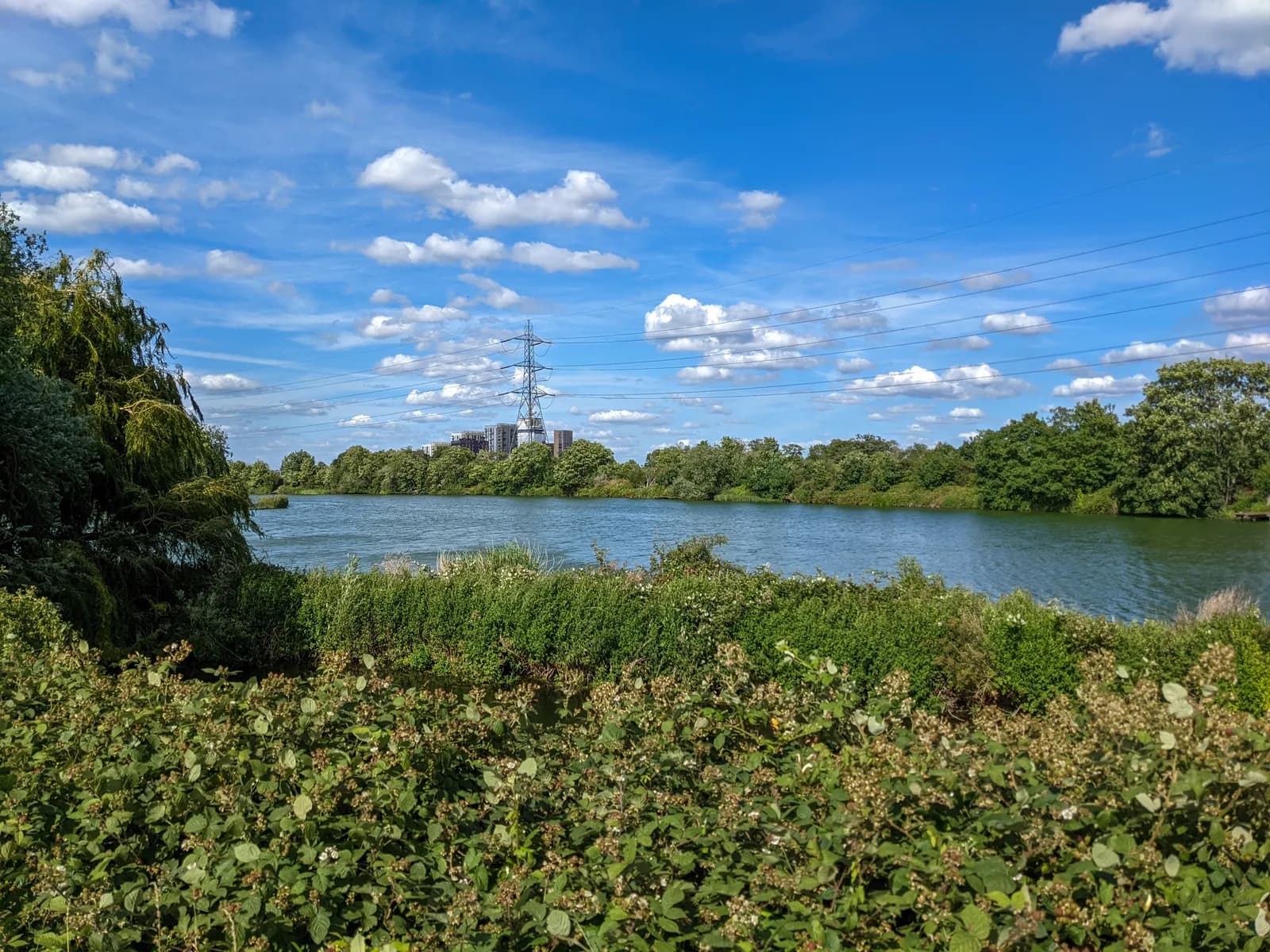 New Public Art Signs at Walthamstow Wetlands Celebrate Local Wildlife and Migration